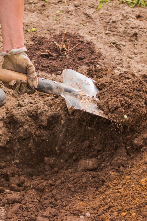 Dirt, Rock, Soil Removal Service In Beaverton