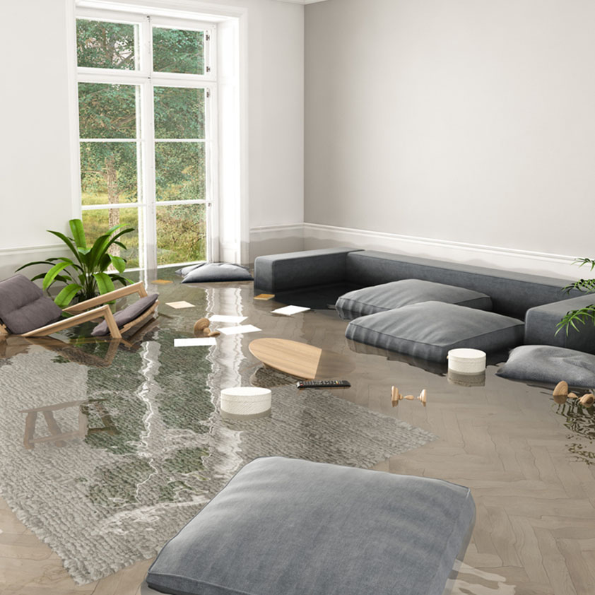 Flood Damage Cleanout Service In Beaverton