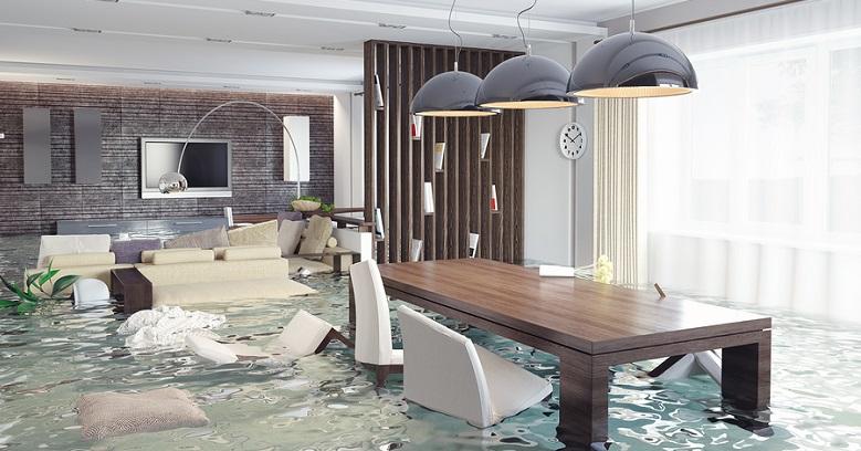 Flood Damage Cleanout Service In Beaverton
