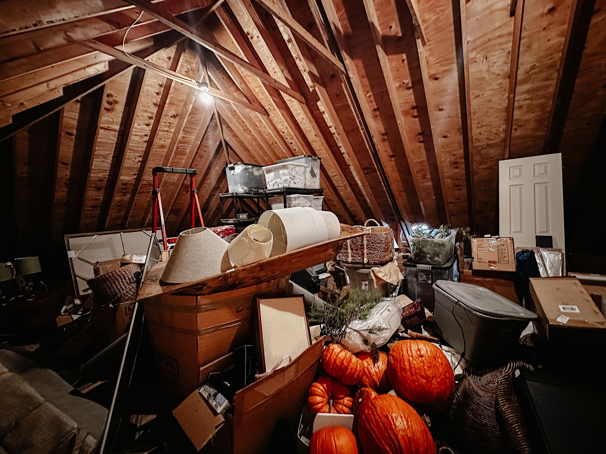 Attic Cleanout Service In Beaverton