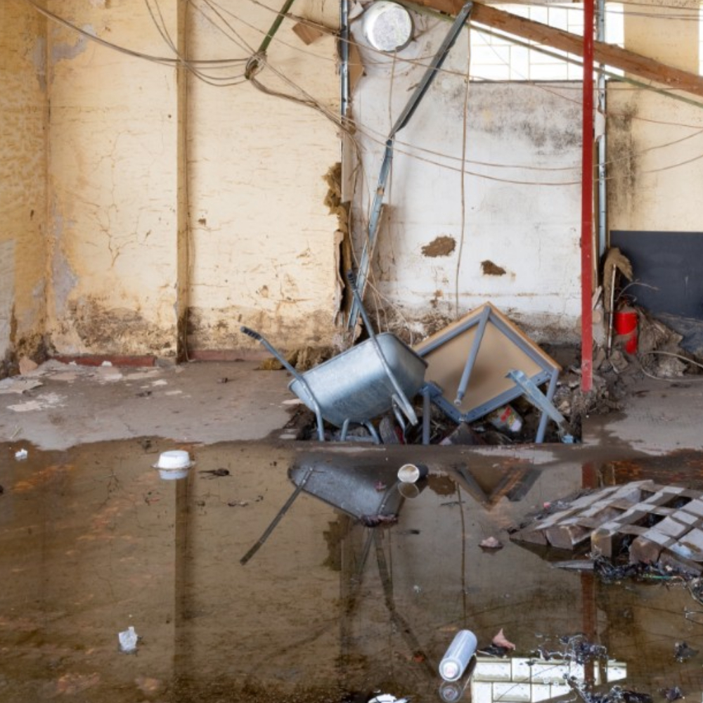 Junk Removal Cleanout Service in Beaverton