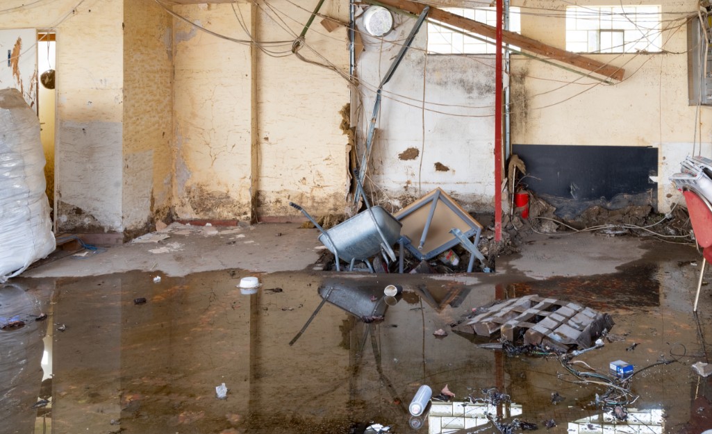 Flood Damage Cleanout Service In Beaverton