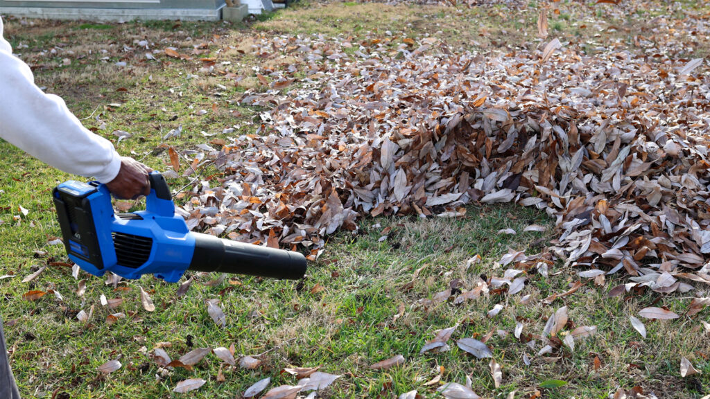 Yard Waste Pickup and Disposal Service In Beaverton