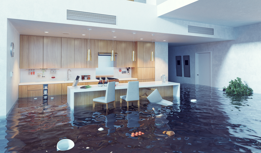 Flood Damage Cleanout Service In Beaverton