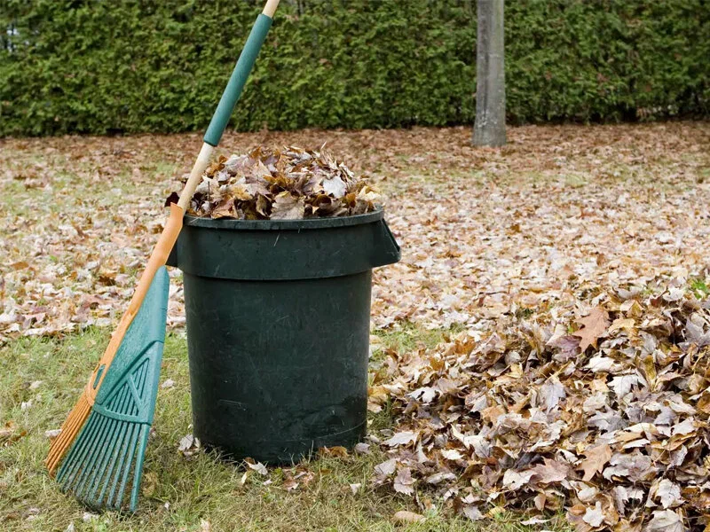 Junk Removal Yard Waste Pickup and Disposal In Beaverton